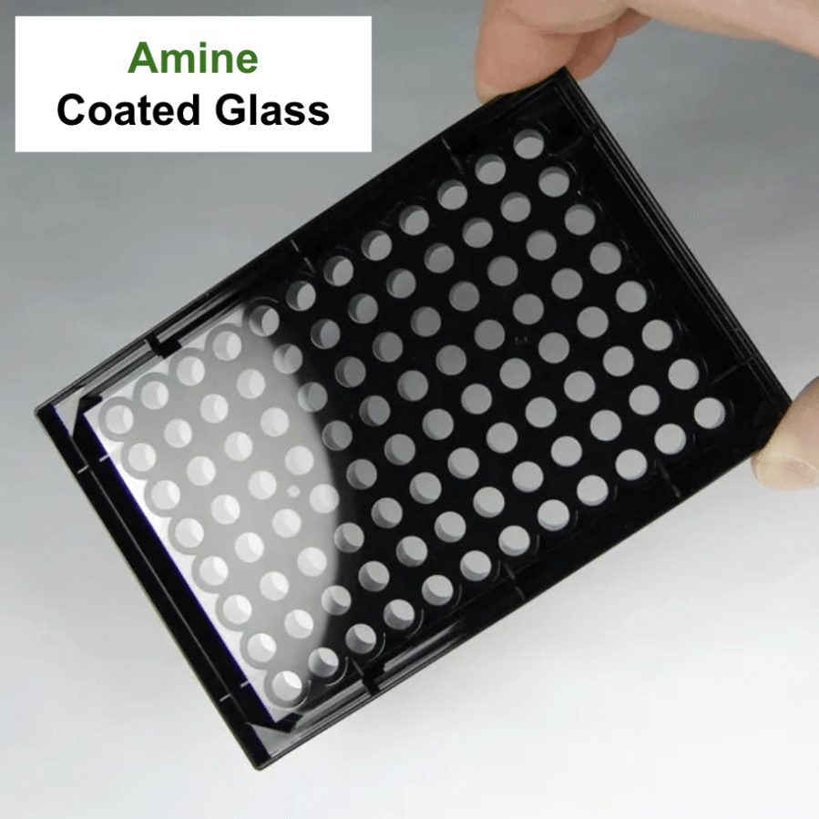 Amine-coated ultra-flat 96-well plate